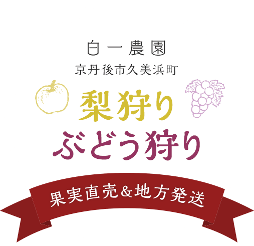 白一農園 京丹後市久美浜町 梨狩り・ぶどう狩り 果実直売＆地方発送